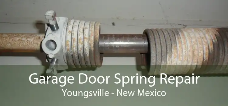 Garage Door Spring Repair Youngsville - New Mexico