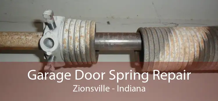 Garage Door Spring Repair Zionsville - Indiana