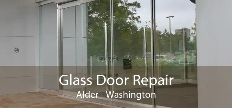 Glass Door Repair Alder - Washington