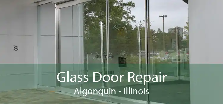 Glass Door Repair Algonquin - Illinois