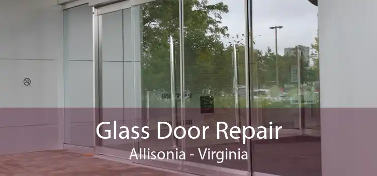 Glass Door Repair Allisonia - Virginia