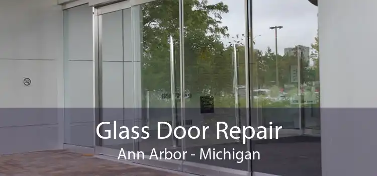 Glass Door Repair Ann Arbor - Michigan