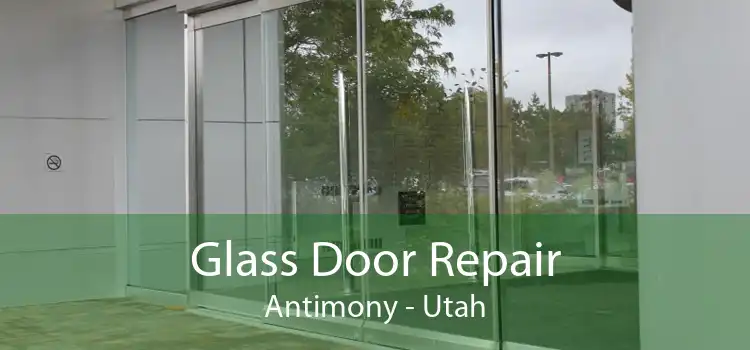 Glass Door Repair Antimony - Utah