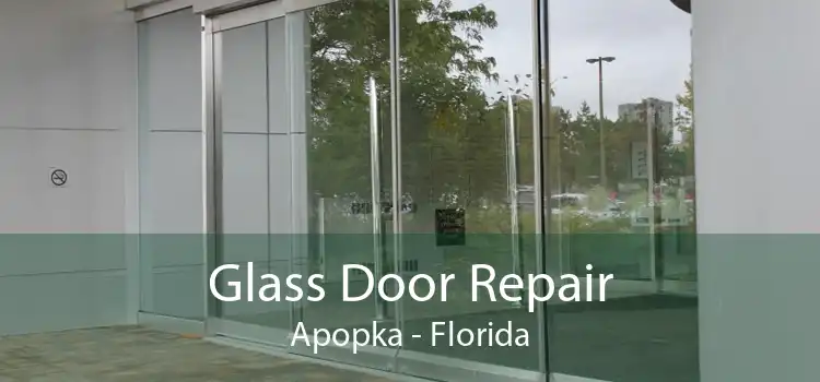 Glass Door Repair Apopka - Florida