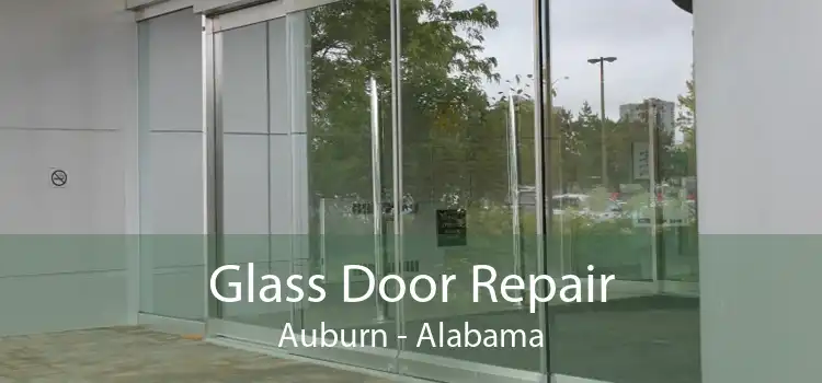 Glass Door Repair Auburn - Alabama