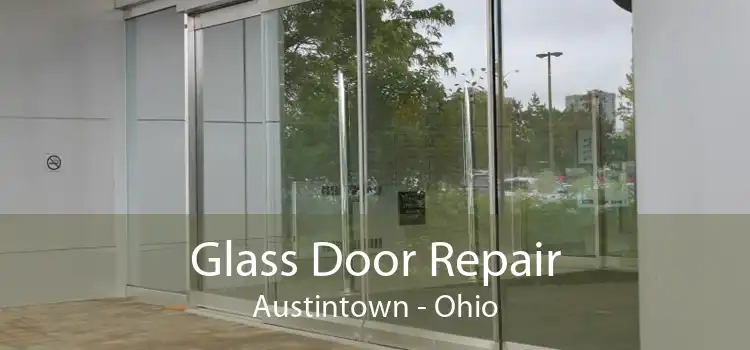 Glass Door Repair Austintown - Ohio