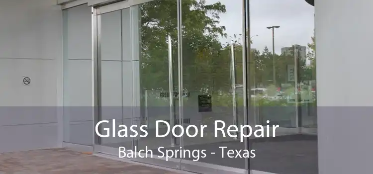 Glass Door Repair Balch Springs - Texas