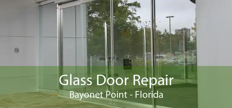 Glass Door Repair Bayonet Point - Florida