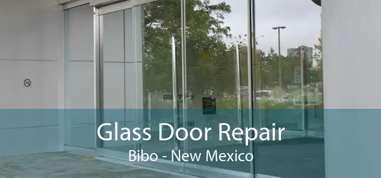 Glass Door Repair Bibo - New Mexico