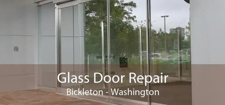 Glass Door Repair Bickleton - Washington