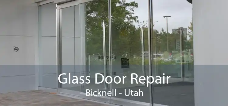 Glass Door Repair Bicknell - Utah