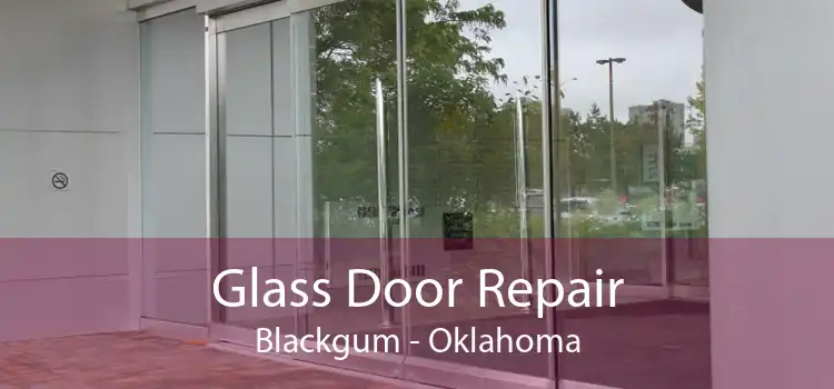 Glass Door Repair Blackgum - Oklahoma