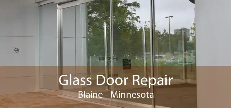 Glass Door Repair Blaine - Minnesota