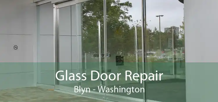 Glass Door Repair Blyn - Washington