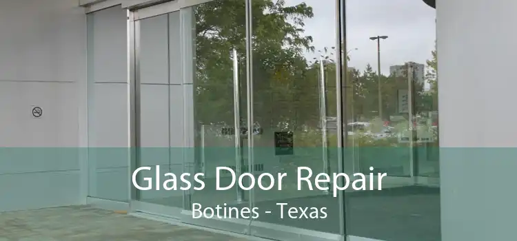 Glass Door Repair Botines - Texas