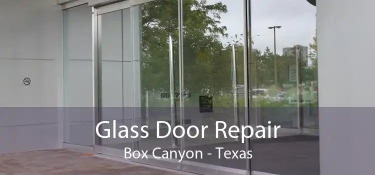 Glass Door Repair Box Canyon - Texas