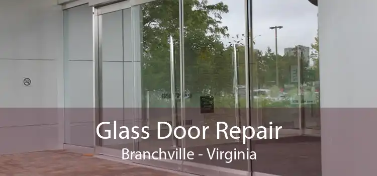 Glass Door Repair Branchville - Virginia