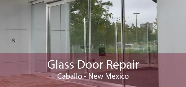 Glass Door Repair Caballo - New Mexico