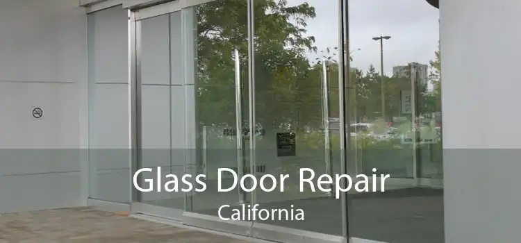 Glass Door Repair California
