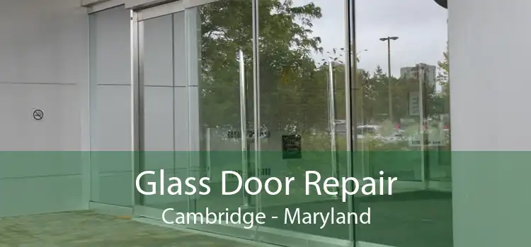 Glass Door Repair Cambridge - Maryland