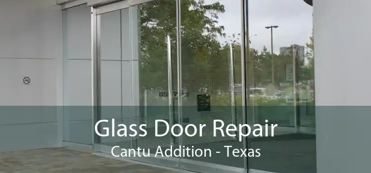 Glass Door Repair Cantu Addition - Texas