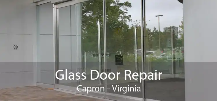 Glass Door Repair Capron - Virginia