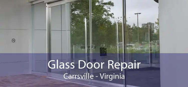 Glass Door Repair Carrsville - Virginia