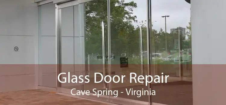 Glass Door Repair Cave Spring - Virginia