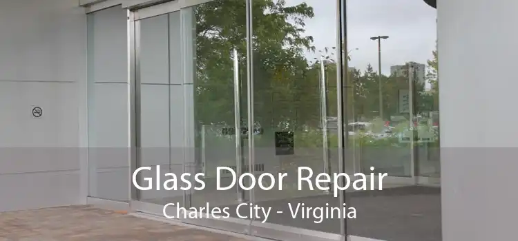 Glass Door Repair Charles City - Virginia