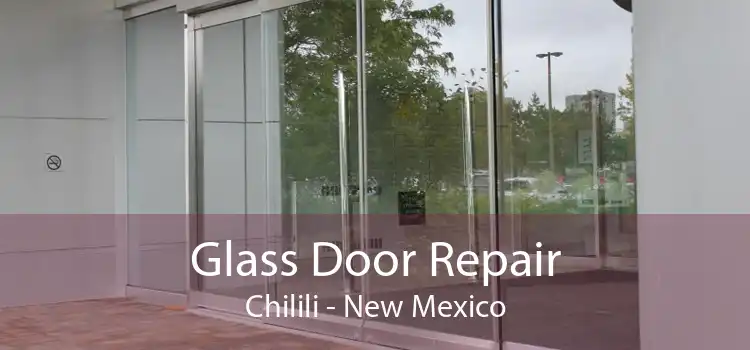 Glass Door Repair Chilili - New Mexico
