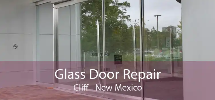 Glass Door Repair Cliff - New Mexico