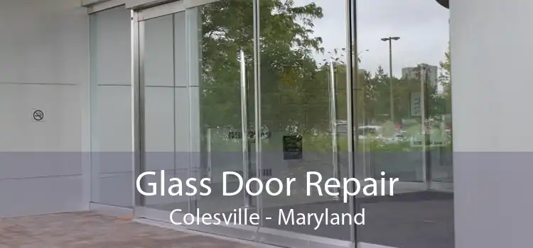 Glass Door Repair Colesville - Maryland