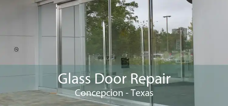 Glass Door Repair Concepcion - Texas