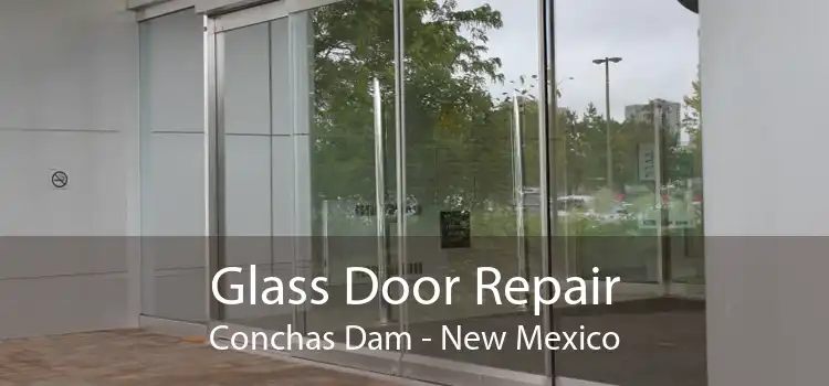 Glass Door Repair Conchas Dam - New Mexico