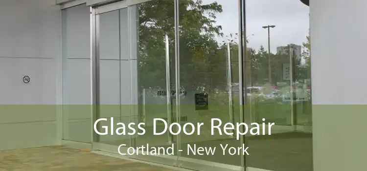 Glass Door Repair Cortland - New York