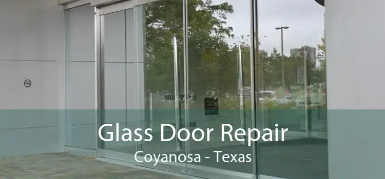 Glass Door Repair Coyanosa - Texas