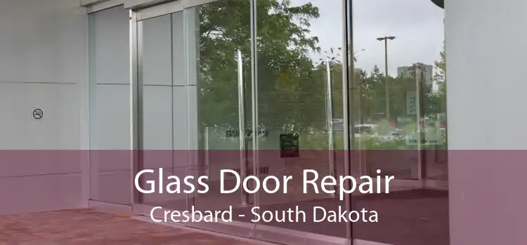 Glass Door Repair Cresbard - South Dakota