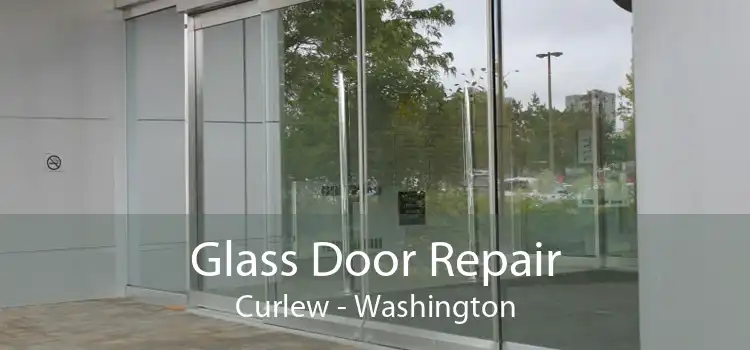 Glass Door Repair Curlew - Washington