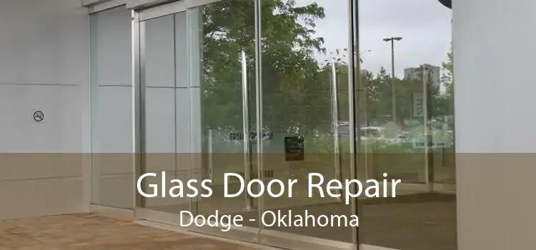 Glass Door Repair Dodge - Oklahoma