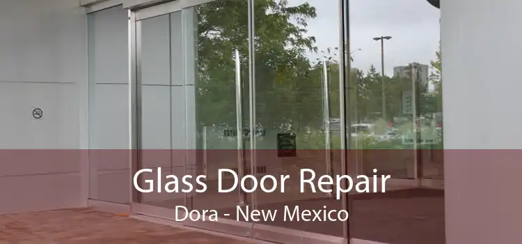 Glass Door Repair Dora - New Mexico