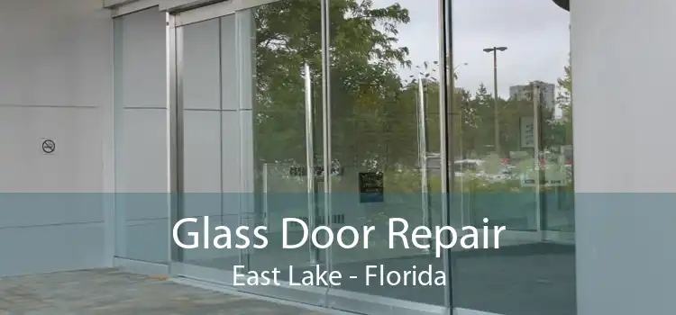 Glass Door Repair East Lake - Florida