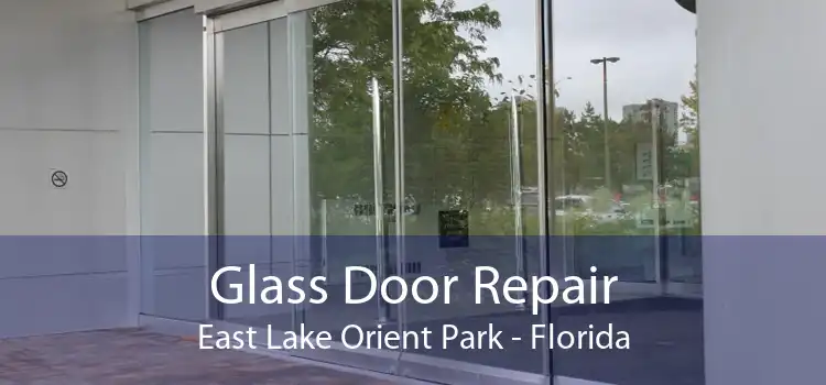 Glass Door Repair East Lake Orient Park - Florida