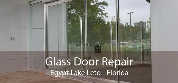 Glass Door Repair Egypt Lake Leto - Florida