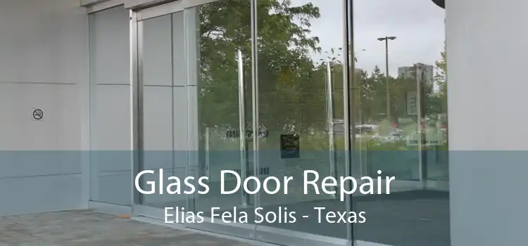 Glass Door Repair Elias Fela Solis - Texas