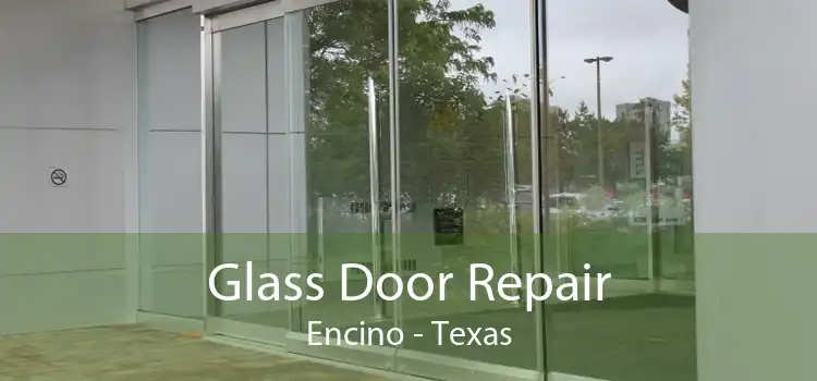 Glass Door Repair Encino - Texas