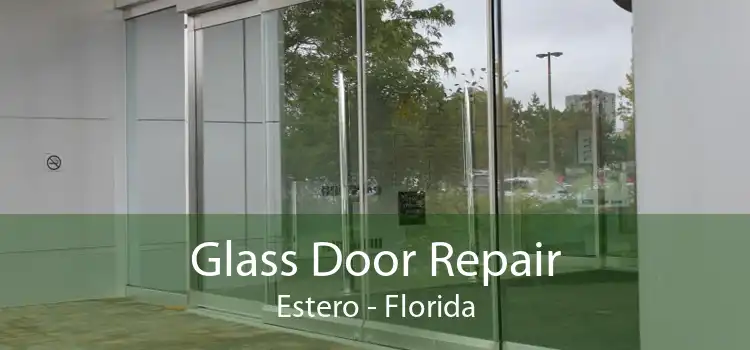 Glass Door Repair Estero - Florida