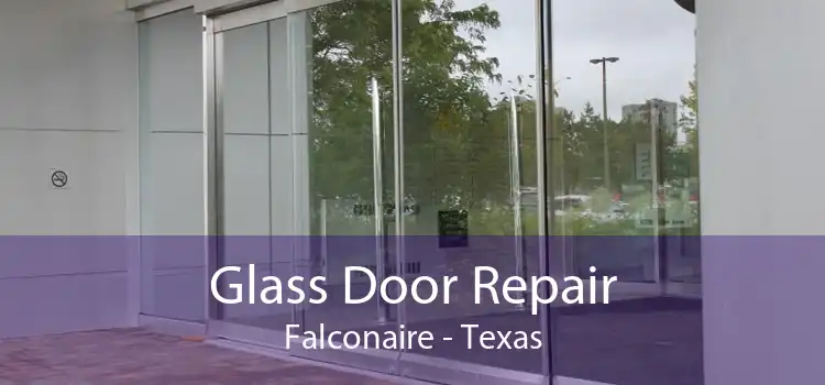Glass Door Repair Falconaire - Texas