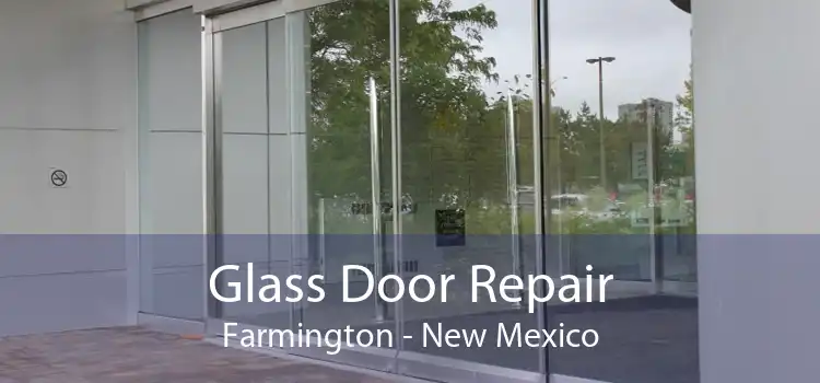 Glass Door Repair Farmington - New Mexico