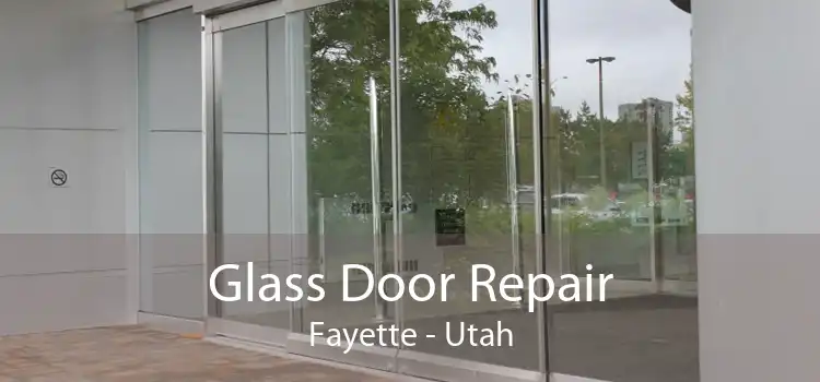 Glass Door Repair Fayette - Utah