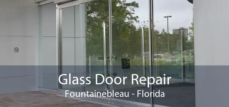 Glass Door Repair Fountainebleau - Florida